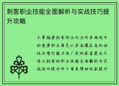 刺客职业技能全面解析与实战技巧提升攻略